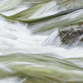 River of Life by Ken Miracle - Nature Up Close Water