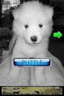 How to download Dog Puzzle: Samoyed patch 3.0.1.0 apk for android