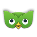 Duolingo Widget icon