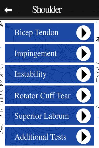 Musculoskeletal Physical Exam Screen 2