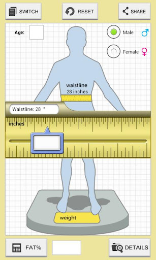 Body Fat Calculator