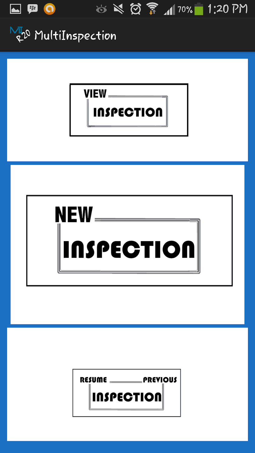 Multi-Inspection Report 20 Screen 3