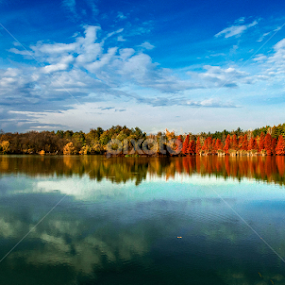 by Nedelcu Valeriu - Landscapes Forests