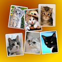 Cat Widget logo