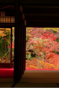 How to mod Japan Wallpaper 1.0 apk for pc