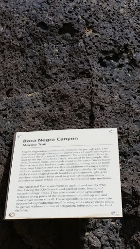 Boca Negra Canyon Macaw Trail