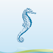 Seahorse Dilution Calculator
