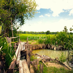 by Sedthakun Soi - Landscapes Prairies, Meadows & Fields
