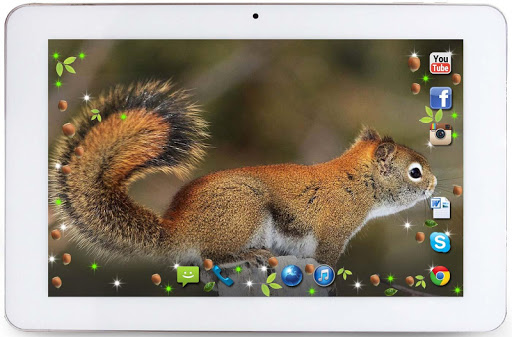 【免費個人化App】Squirrel Forest live wallpaper-APP點子