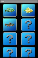 ������-����