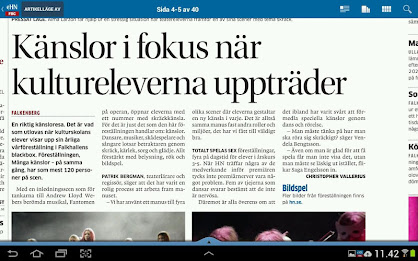 eHN - Falkenberg poster 11