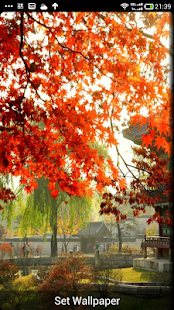 Korea Ringtones Screenshots 2