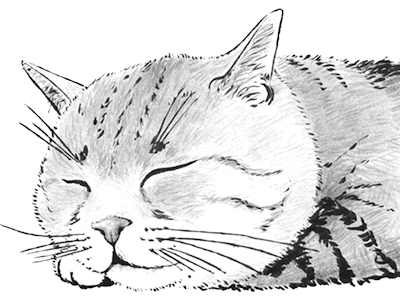 猫 塗り絵 無料 209517-猫塗り絵 無料 印刷可能