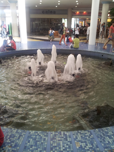 Center Fountain in Robinsons