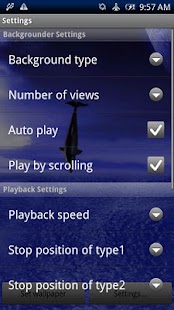 download Dolphin Fly Trial free