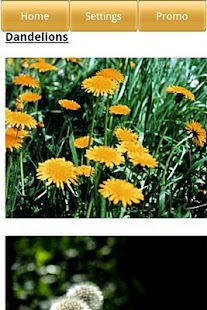 Lawn Care Screenshots 3