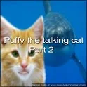 Talking cat part 2 continued icon