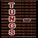 TUNGS Voice Translator