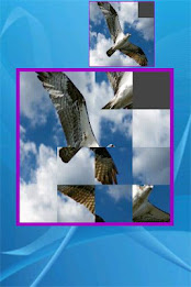 Custom Sliding Puzzle poster 7