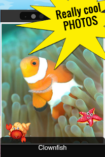 How to download Funny Fish Games and Photos lastet apk for android