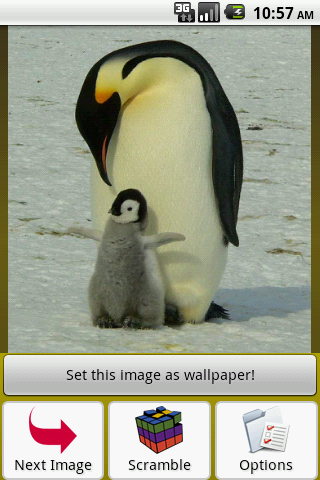 Penguin Puzzle