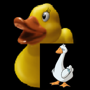 Duck Duck Goose