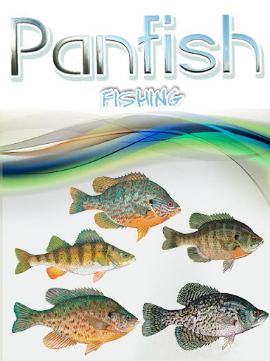 Panfish