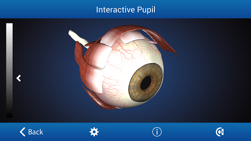 【免費醫療App】Ophthalmology in Dogs (Free)-APP點子