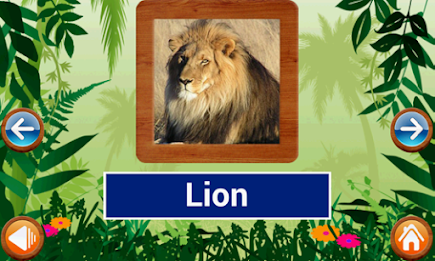 Animals and Birds by Intellisense poster 11