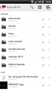 WP Dysk Screenshots 0