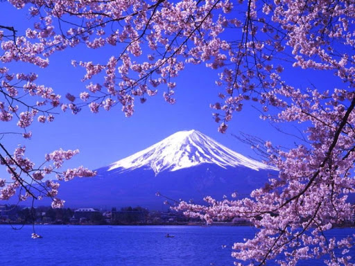 Mount Fuji Live Wallpapers