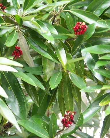 [100_4281crop1.jpg]