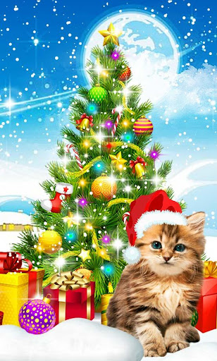 免費下載個人化APP|Winter kitty live wallpaper app開箱文|APP開箱王