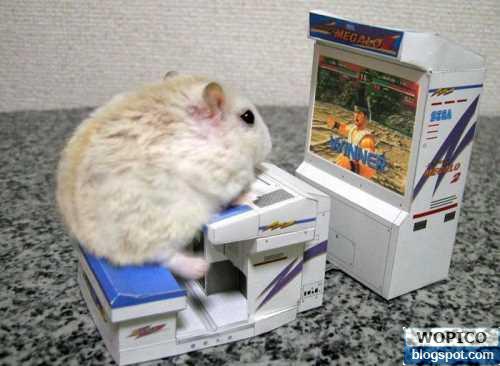 Hamster Games