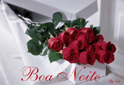 boa%20noite004.gif