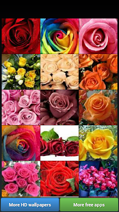 Beautiful Roses HD Wallpapers