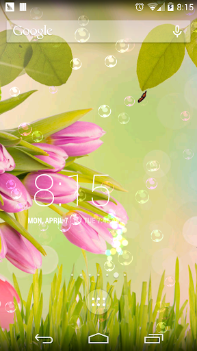 免費下載個人化APP|Tulip spring flower wallpaper app開箱文|APP開箱王