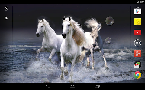 Horses Live Wallpaper screenshot 4