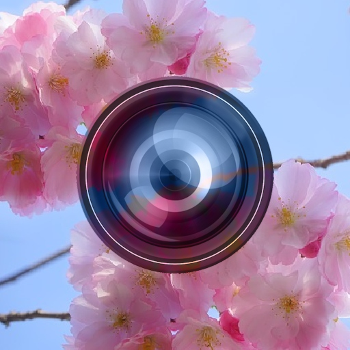 Haru Camera 攝影 App LOGO-APP開箱王