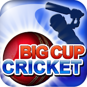 Big Cup Cricket Free