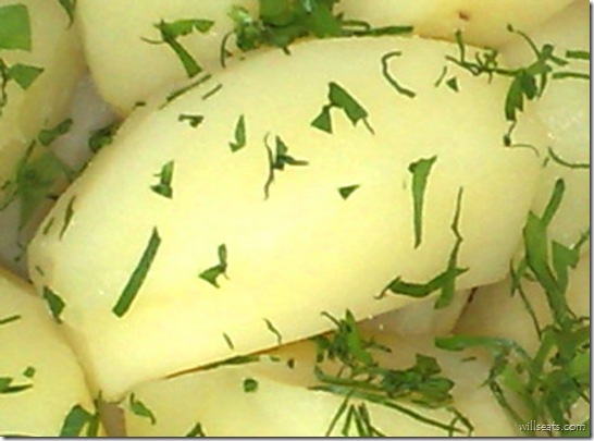 potato 280520081316