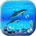 Dolphin Sounds Live Wallpaper icon