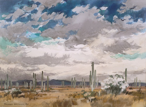 Saguaro Country