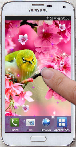 免費下載個人化APP|Sakura Spring LWP app開箱文|APP開箱王