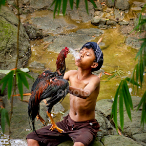 shower his chicken  by Sesar Arief - Babies & Children Child Portraits