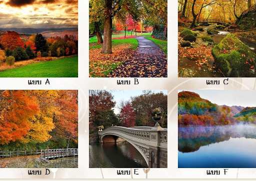 แบบทดสอบ ฤดูใบไม้ร่วงบอกบุคลิก
