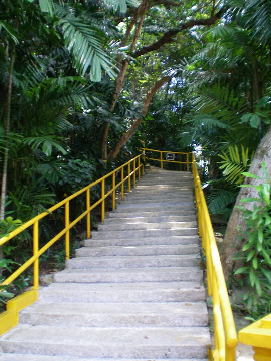 Marches du Temple Malais de Kusu's Island