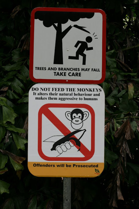 Ne pas nourrir les Singes