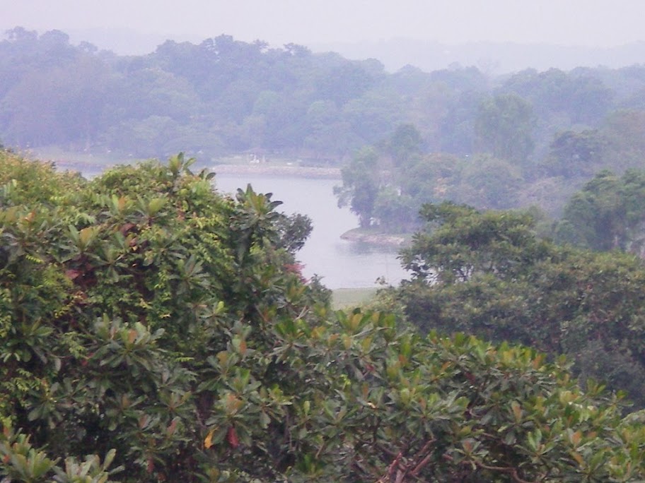 Zoom sur le réservoir