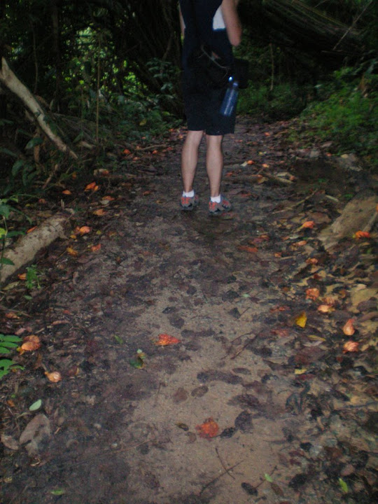 Lit de fleur orange et le bas de Guillaume